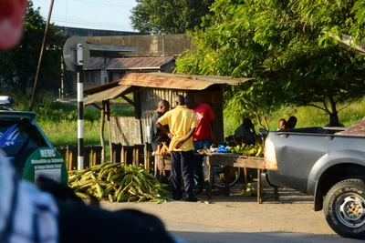 DSC_7989 (Large).JPG